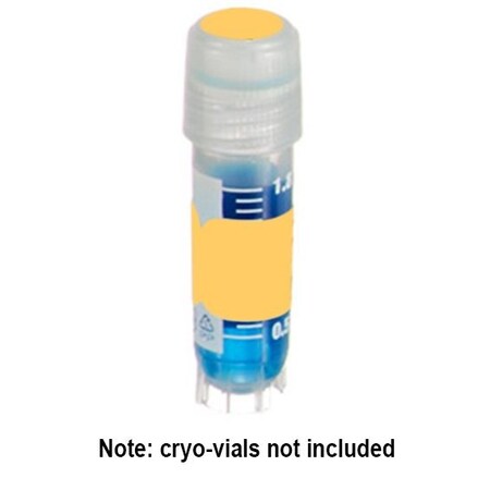 Diversified Biotech DirectThermal Tags (1.5x0.5") and Spot (3/8") Combo, Orange, 500 sets/pk, 500PK 249404O